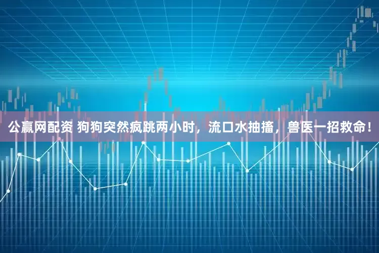 公赢网配资 狗狗突然疯跳两小时，流口水抽搐，兽医一招救命！