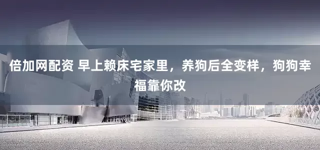 倍加网配资 早上赖床宅家里,养狗后全变样,狗狗幸福靠你改