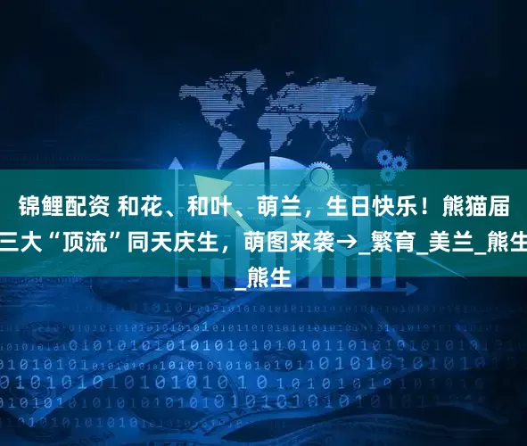 锦鲤配资 和花、和叶、萌兰，生日快乐！熊猫届三大“顶流”同天庆生，萌图来袭→_繁育_美兰_熊生