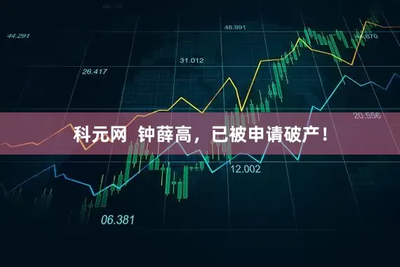 科元网 钟薛高,已被申请破产!