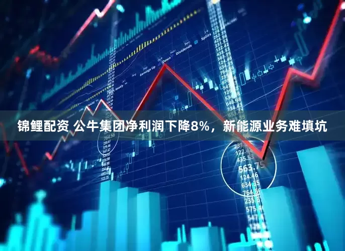 锦鲤配资 公牛集团净利润下降8%，新能源业务难填坑