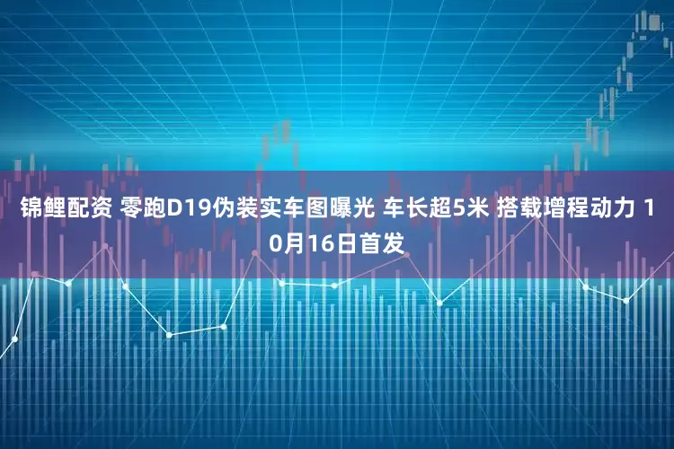 锦鲤配资 零跑D19伪装实车图曝光 车长超5米 搭载增程动力 10月16日首发