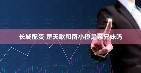 长城配资 楚天歌和南小橙是亲兄妹吗