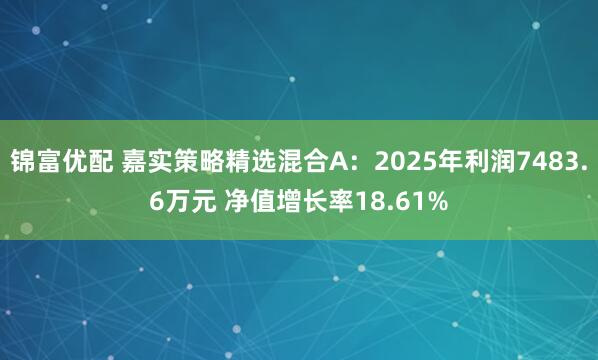 锦富优配 嘉实策略精选混合A：2025年利润7483.6万元 净值增长率18.61%