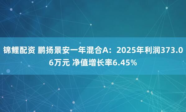 锦鲤配资 鹏扬景安一年混合A：2025年利润373.06万元 净值增长率6.45%